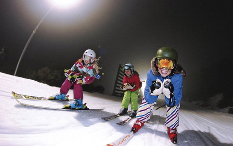 Frueauf Village - Kingaroy Accommodation 14