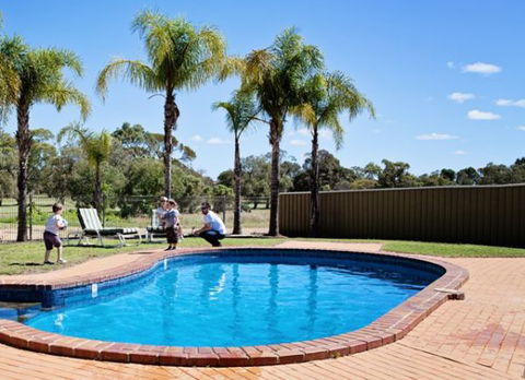 Barmera Country Club Motor Inn - Kingaroy Accommodation 3