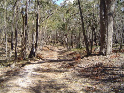 Bushmans Lookout - Kingaroy Accommodation 3