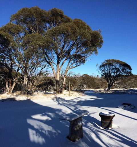 Cloud 9 Alpine Lodge - Kingaroy Accommodation 9