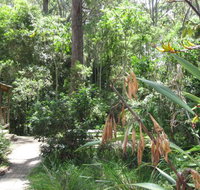 Dunns Creek Downs Nature Stay - Kingaroy Accommodation