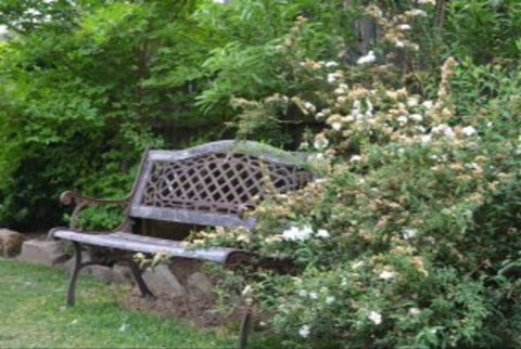 Garden Cottage B And B - Kingaroy Accommodation 4