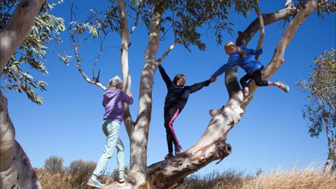 Hamilton Downs Youth Camp - Kingaroy Accommodation 4