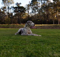 Hunter Valley Retreat - Kingaroy Accommodation