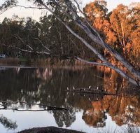 Jaycee Island - Kingaroy Accommodation