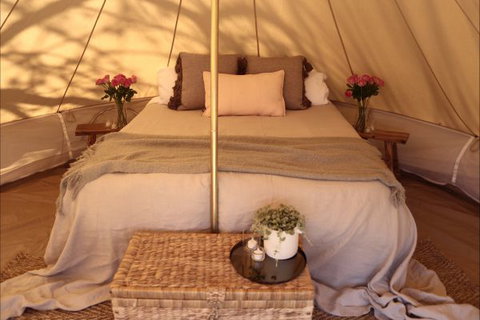 Pitch South Coast - Kingaroy Accommodation 1