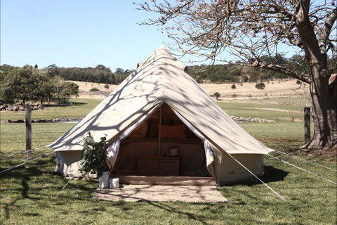 Pitch South Coast - Kingaroy Accommodation 2