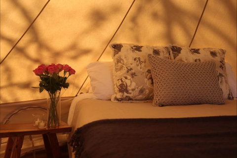 Pitch South Coast - Kingaroy Accommodation 4