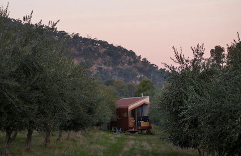 Shacky In The Olive Grove - Kingaroy Accommodation 0