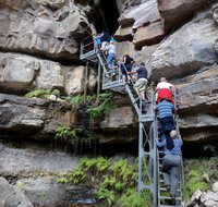 Takarakka Bush Resort Carnarvon Gorge - Kingaroy Accommodation