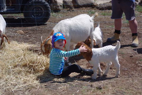 Yalooka Farm - Kingaroy Accommodation 3