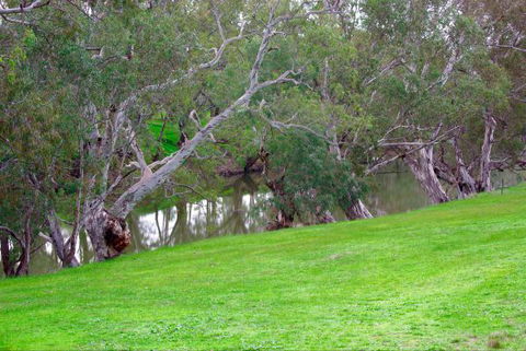 Yalooka Farm - Kingaroy Accommodation 4