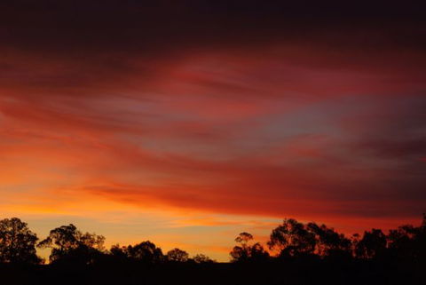 Yalooka Farm - Kingaroy Accommodation 5