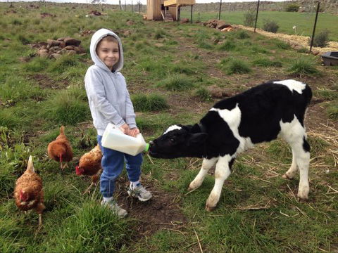 Yalooka Farm - Kingaroy Accommodation 8