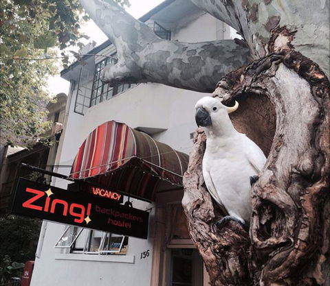 Zing! Backpackers Hostel - Kingaroy Accommodation 0