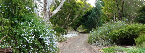 Camawald Coonawarra Bed & Breakfast - Kingaroy Accommodation 13