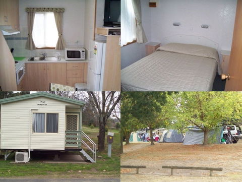 Adelong Golden Gully Caravan Park - Kingaroy Accommodation 4