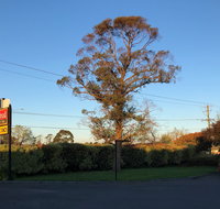 Alfred Motor Inn - Kingaroy Accommodation