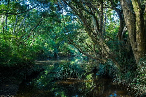 All About Me Bed And Breakfast - Kingaroy Accommodation 9