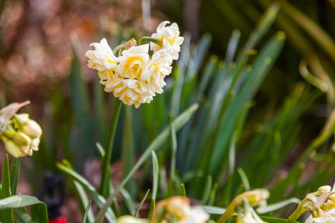 Amaroo Farm - Kingaroy Accommodation 7