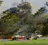 Boronia Farm - Kingaroy Accommodation