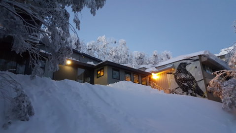 Diana Alpine Lodge - Kingaroy Accommodation 3