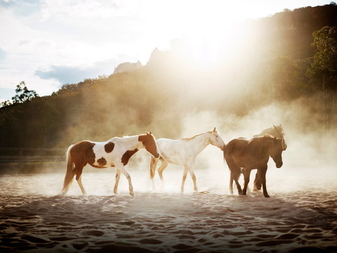 Emirates One&Only Wolgan Valley - Kingaroy Accommodation 1