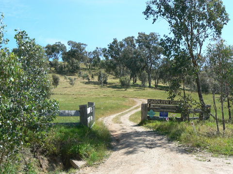 Gaddleen Grove Cottages - Kingaroy Accommodation 3