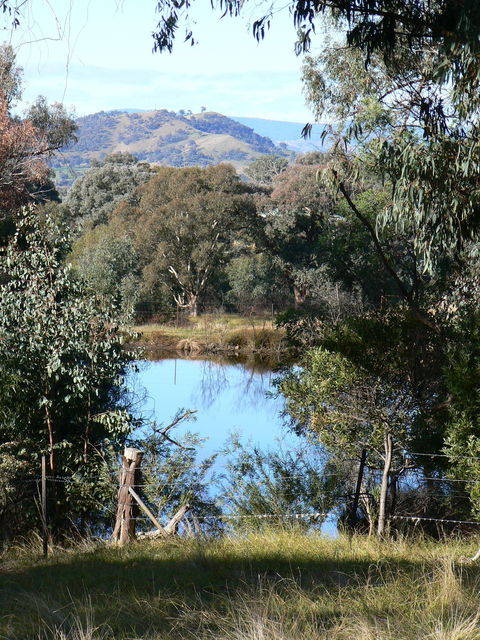 Gaddleen Grove Cottages - Kingaroy Accommodation 6