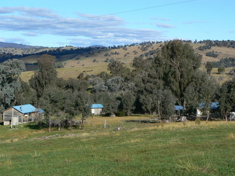 Gaddleen Grove Cottages - Kingaroy Accommodation 7