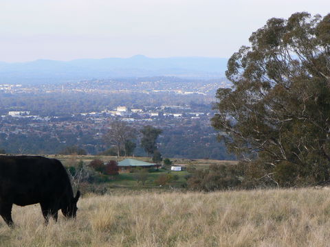 Gaddleen Grove Cottages - Kingaroy Accommodation 8
