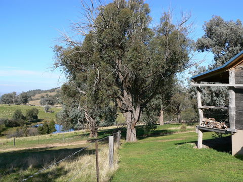 Gaddleen Grove Cottages - Kingaroy Accommodation 9