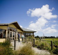 Great Ocean Ecolodge - Kingaroy Accommodation