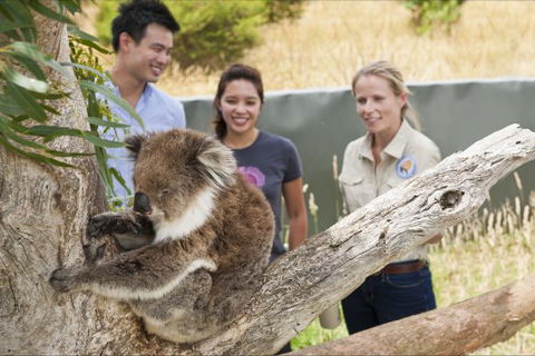 Great Ocean Ecolodge - Kingaroy Accommodation 1