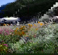 Millicent Showground RV Park - Kingaroy Accommodation