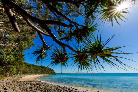 Noosa Caravan Park - Kingaroy Accommodation 2