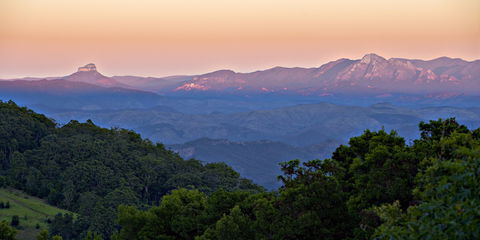 O'Reilly's Rainforest Retreat - Kingaroy Accommodation 1