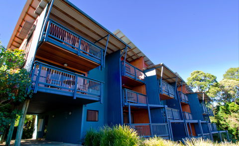 O'Reilly's Rainforest Retreat - Kingaroy Accommodation 7