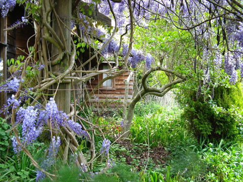 Plovers Ridge Country Retreat - Kingaroy Accommodation 5