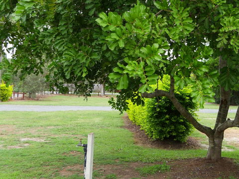 Secura Lifestyle North Gold Coast - Kingaroy Accommodation 8