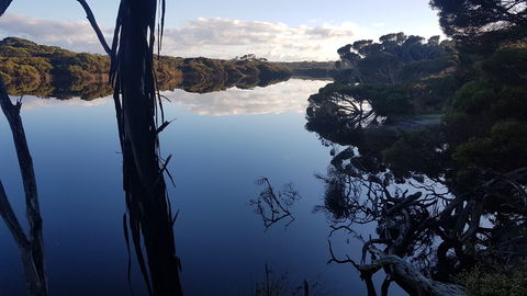 Vivonne Bay Island Getaway - Kingaroy Accommodation 6