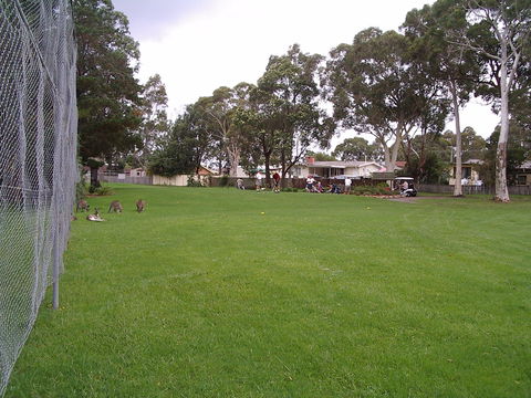 Waratah Cottage - Kingaroy Accommodation 8