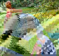 Warrabah campground and picnic area - Kingaroy Accommodation