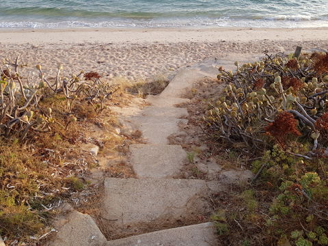 Albarino - Kingaroy Accommodation 1