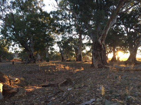 Almerta Station - Kingaroy Accommodation 0