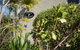 Austin Rise B&B - thumb 1
