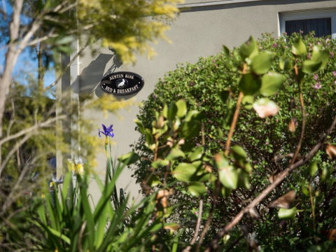 Austin Rise B&B - Kingaroy Accommodation 1