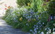 Austin Rise B&B - thumb 2