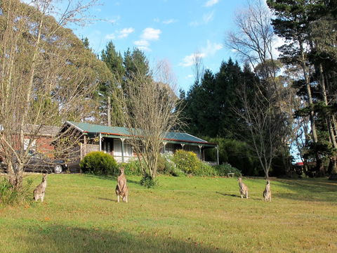 Cedar Lodge Cabins - Kingaroy Accommodation 0