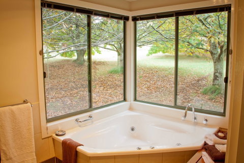 Chestnut Glade - Kingaroy Accommodation 4